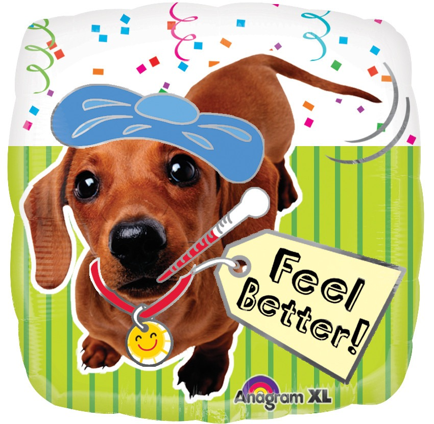051-feel-better-dog-getaballoon