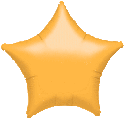#221- Gold Star