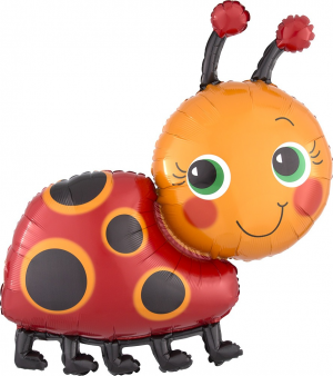 Lady Bug