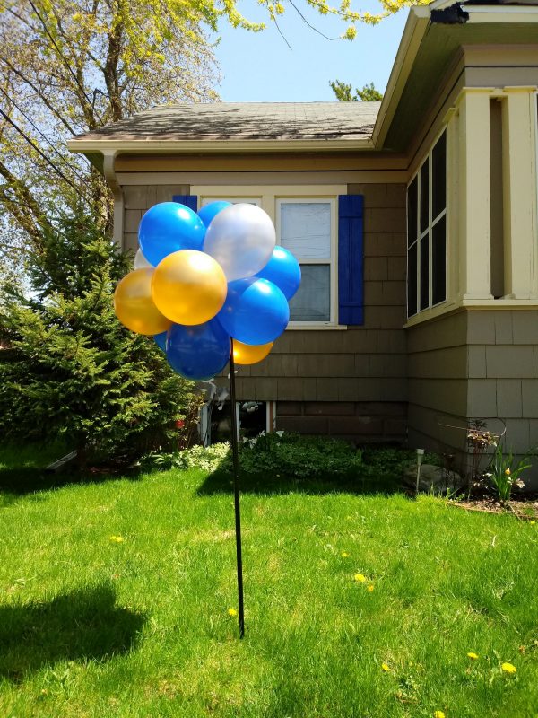 Yard Dealie Bob - Basic School Colors