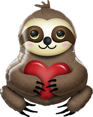Cute Sloth