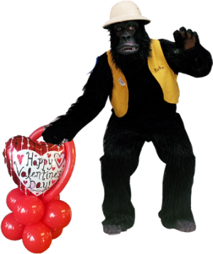 Valentine Gorilla Gram