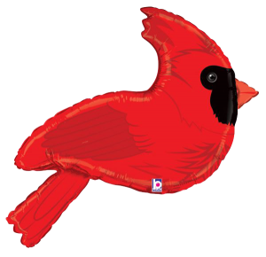 34" Cardinal
