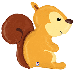 Woodland Squirrel