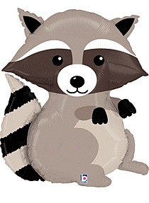 Woodland Raccoon