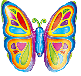 Butterfly Shape