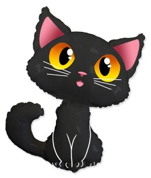 Black Cat Halloween