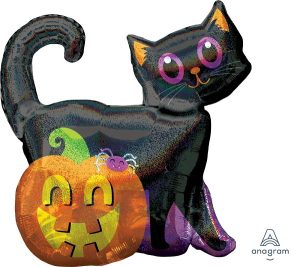 Cat pumpkin Halloween